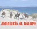 Andalucia al Galope