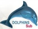 Dolphins Sub