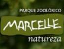 Marcelle Natureza