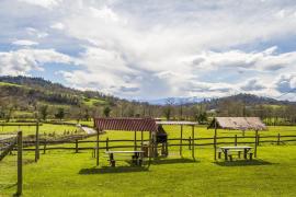 Casa Peña Careses casa rural en Siero (Asturias)