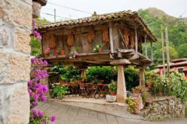 El Colladín casa rural en Cangas De Onis (Asturias)