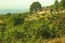 La Hacienda de Gredos casa rural en Guisando (Ávila)