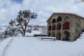 La Costa de Molló casa rural en Mollo (Girona)