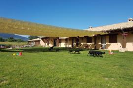 El Enebral casa rural en Santo Tome Del Puerto (Segovia)