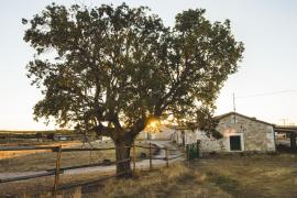 Dehesa de Montealto casa rural en Cabañas De Sayago (Zamora)
