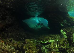 Aqua Diving Center