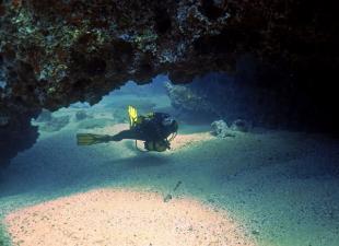 Centro de Buceo Las Canteras