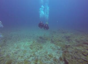 Dive Academy Gran Canaria