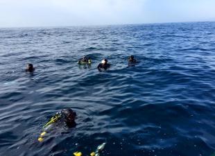 Escuela de buceo Estela