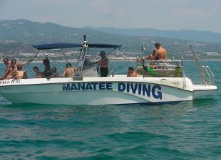 Manatee Diving