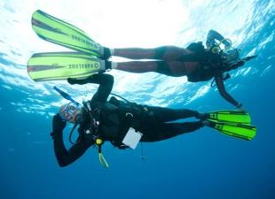 The Dive Shop Lanzarote