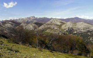 Palencia: románico palentino y turismo ornitológico