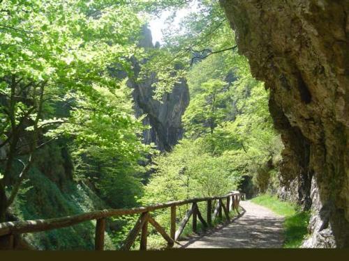 El Bosque Encantado, Casa Rural en San Andres De Agues, Asturias