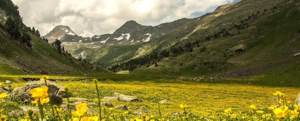 Pirineo Aragones