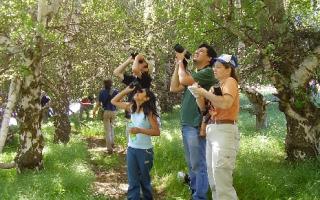 Excursiones para el avistamiento de aves en España