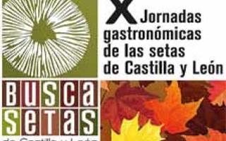 Jornadas Buscasetas de Castilla y León