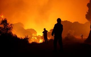 El peor año de incendios forestales