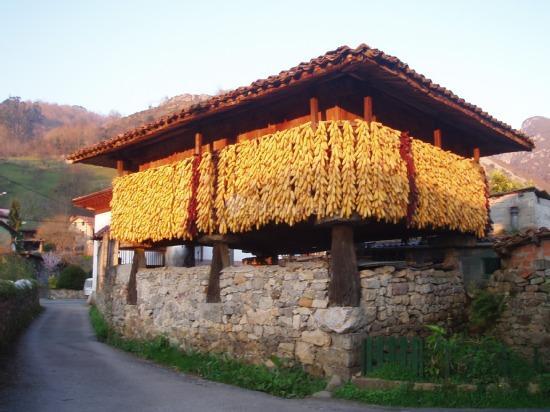 Fotos de Casa Rural Nivia | Asturias - Cangas De Onis ...